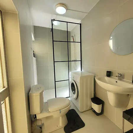 Sunflower Maltese House In