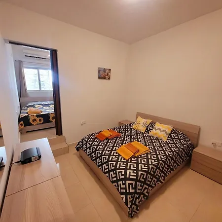 Sunflower Maltese House In