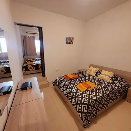 Sunflower Maltese House In