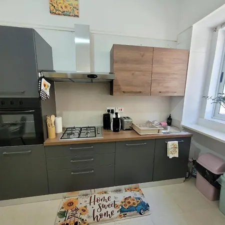 Sunflower Maltese House In