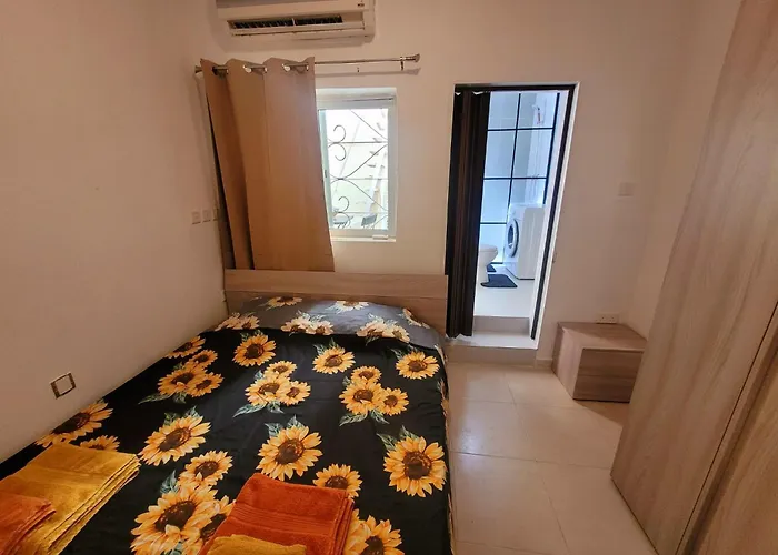 Sunflower Maltese House In *