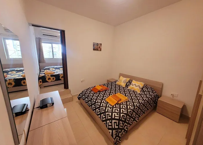 Sunflower Maltese House In