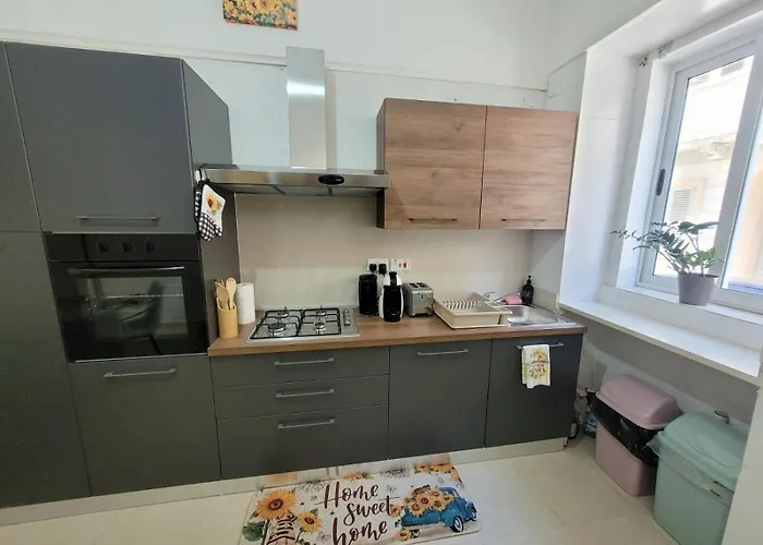 Sunflower Maltese House In