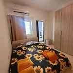 Sunflower Maltese House In *