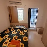 Sunflower Maltese House In *