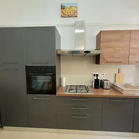 Sunflower Maltese House In