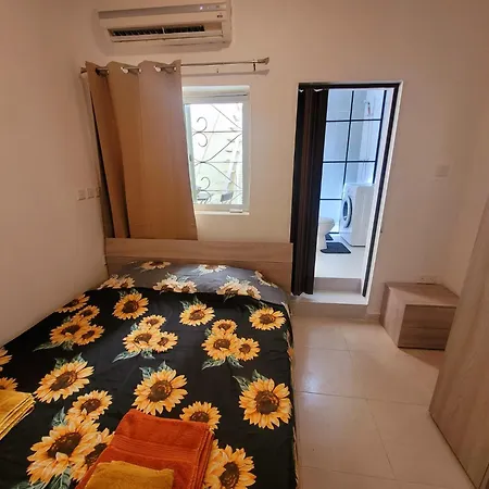 Sunflower Maltese House In *