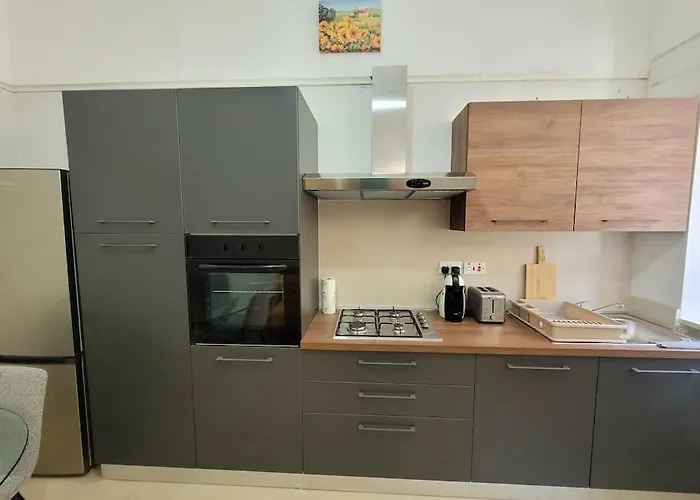 Sunflower Maltese House In