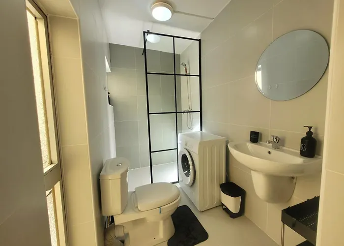 Sunflower Maltese House In