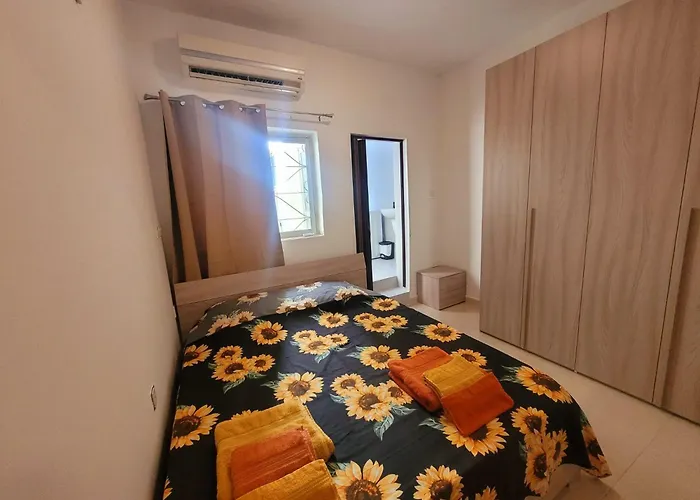 Sunflower Maltese House In *