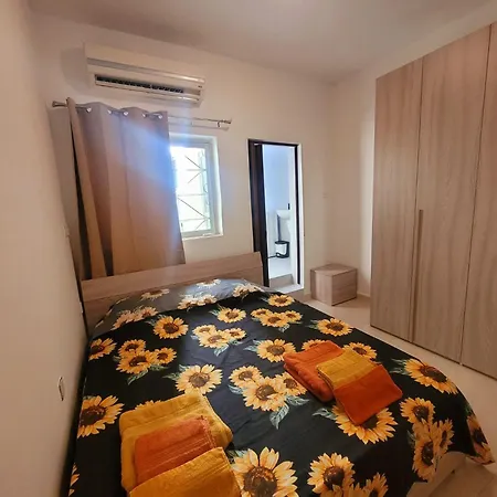 Sunflower Maltese House In *